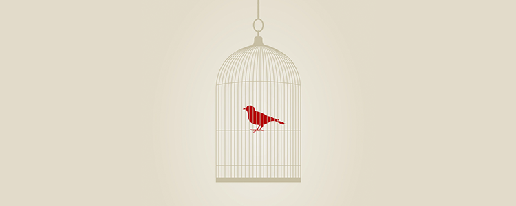 手机号在线轰炸测试